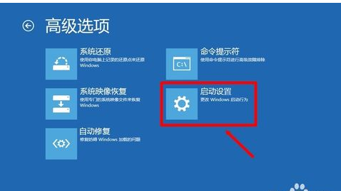 圖片11 圖片11